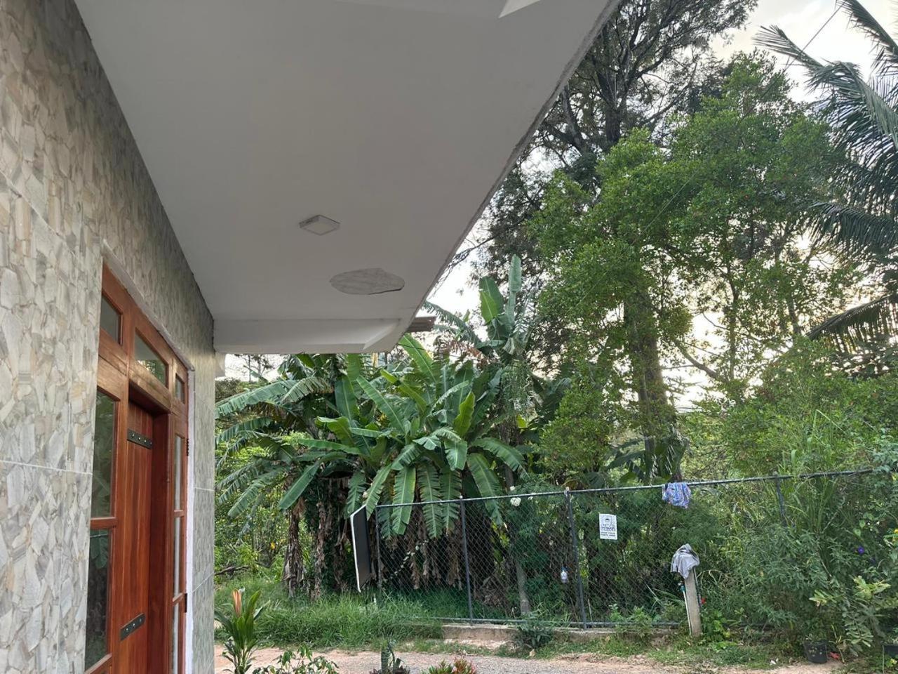 Why Not Guest House Ella Esterno foto
